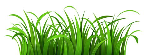 Jungle clipart grass jungle, Jungle grass jungle Transparent FREE for download on WebStockReview ...