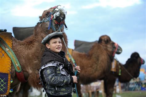 There are two types of camels: Thousands turn out for CAMEL wrestling tournament in ...
