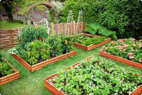 Vegetable Garden Wallpaper Wallpapersafari