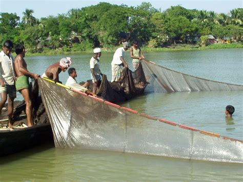 Small Scale Fisheries Bangladesh Photo By Nadi Arif 200 Flickr
