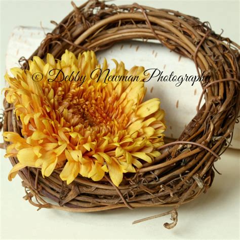 Autumn Mum And Grapevine Wreath Arts And Entertainment Stock Photos