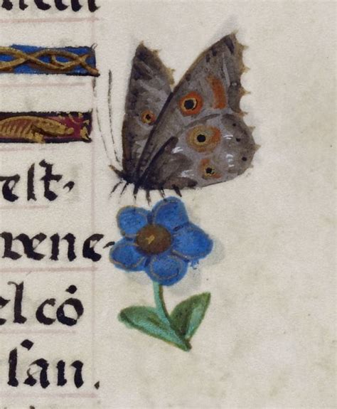 These Medieval Insects Might Give You The Creepy Crawlies Medieval
