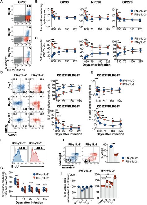 Intrinsic Il 2 Production By Effector Cd8 T Cells Affects Il 2