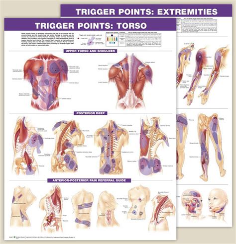 The Many Benefits And Types Of Clinical Massage Therapy