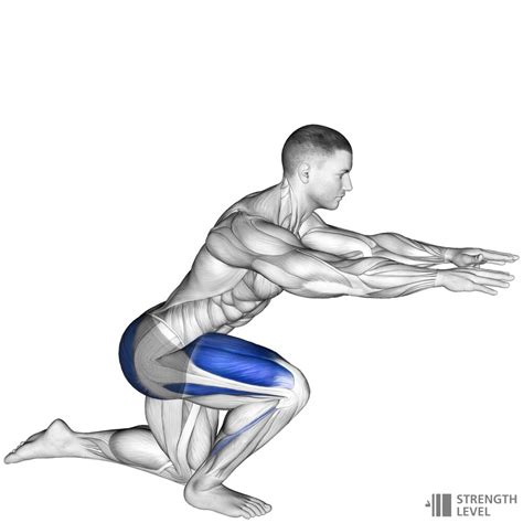Single Leg Squat Standards For Men And Women Lb Strength Level