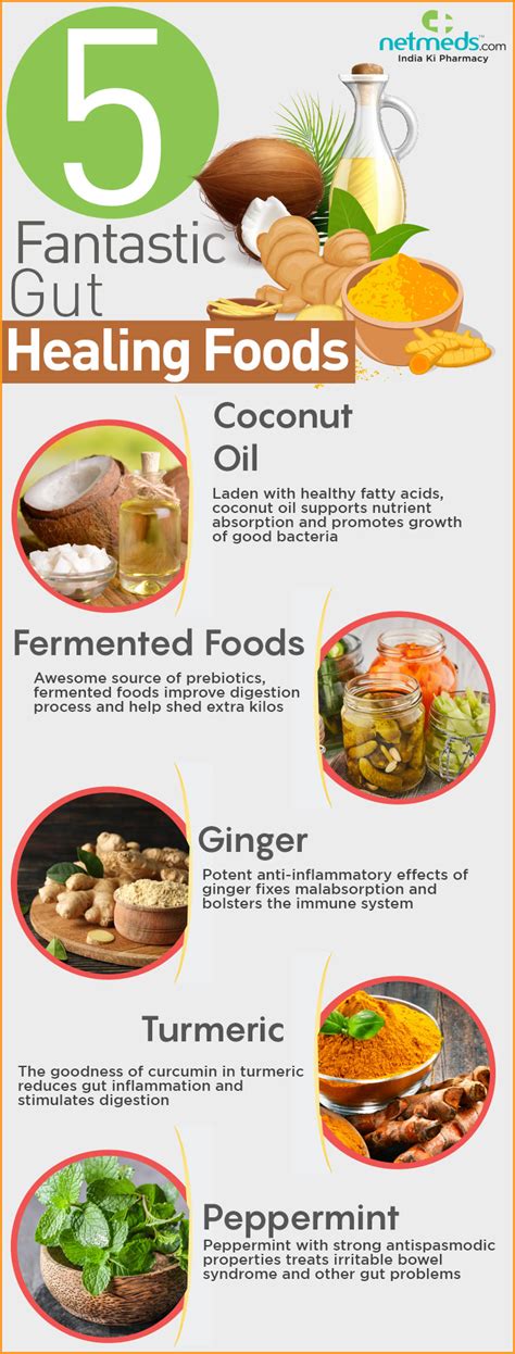 Digestive Health 5 Splendid Foods That Enhances Gut Functions And