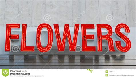 We did not find results for: Neon Flowers Sign Royalty Free Stock Images - Image: 3715779