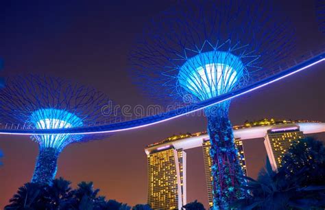 Gardens By The Bay At Night In Singapore Editorial Stock Photo Image