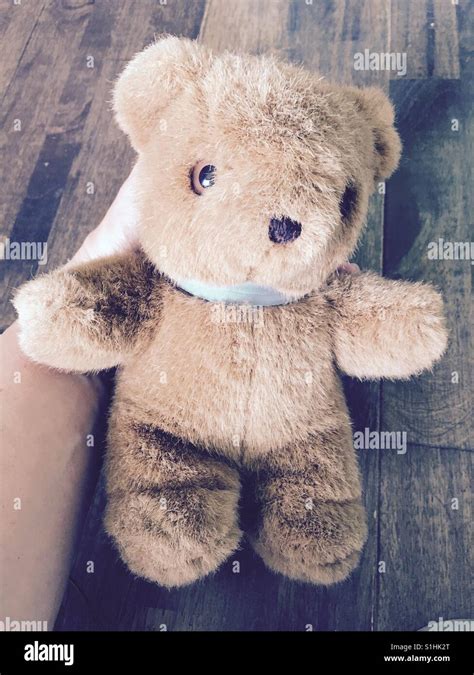 Hand Holding A Lovely Teddy Bear Stock Photo Alamy