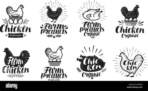 Chicken Label Set Food Poultry Farm Meat Egg Icon Or Logo