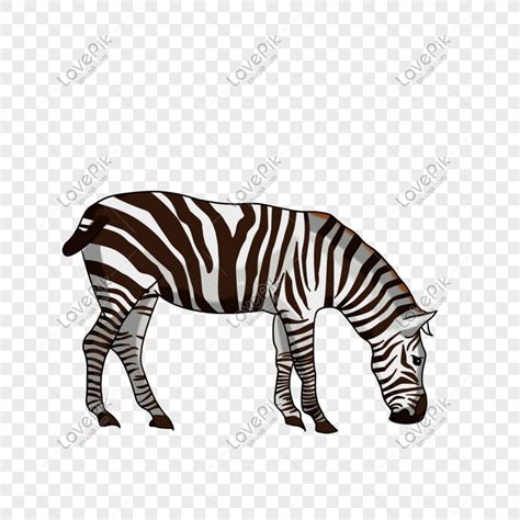 Gambar Zebra Kartun Hitam Putih Adzka