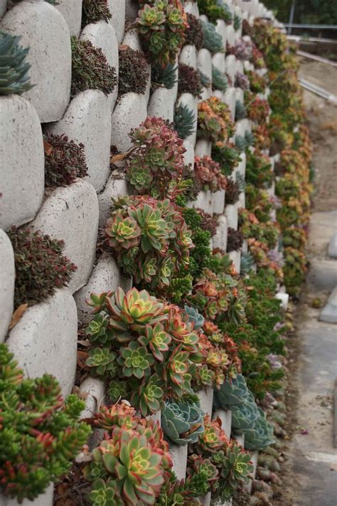 15 Retaining Wall Ideas To Spruce Up The Garden Area