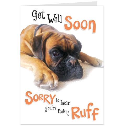 Get Well Dog Pictures Sorry Youre Feeling Rough Get Well Card With