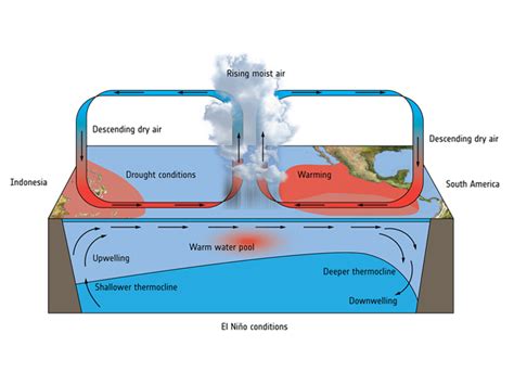 Rain, flash floods, and mudslides occur in places where there is usually little rain, while usually wet areas suffer from drought. El Niño vs. La Niña: What's the Difference? - Earth How