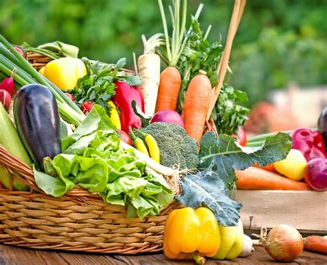 Winter Vegetables in India - Growing Winter Vegetables in ...