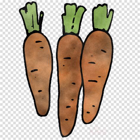 Fresh Vegetable Clipart Cartoon Carrot Fruit Transparent Clip Art