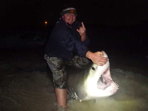 Great White Shark Caught In Florida Off The Shore Of Panama City Beach