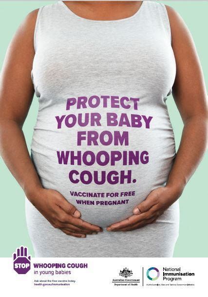 maternal vaccination campaign whooping cough australian government department of health and