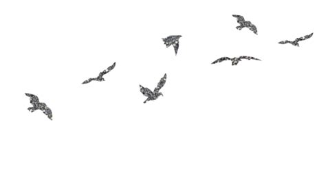 Gambar Vektor Clipart Ilustrasi Burung Terbang Burung Terbang