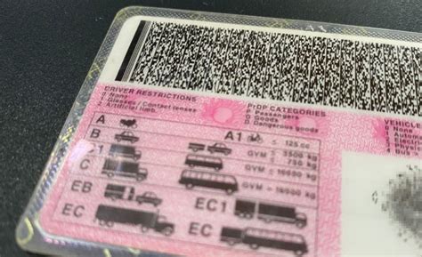 Extended Grace Period Announced For Expired Licences In South Africa