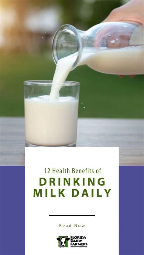 12 Health Benefits Of Drinking Milk Daily [video] Milk Benefits Drink Milk No Dairy Recipes