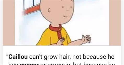Today I Learned Why Caillou Has No Hair Meme