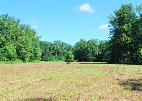Mini Farms For Sale In South Carolina