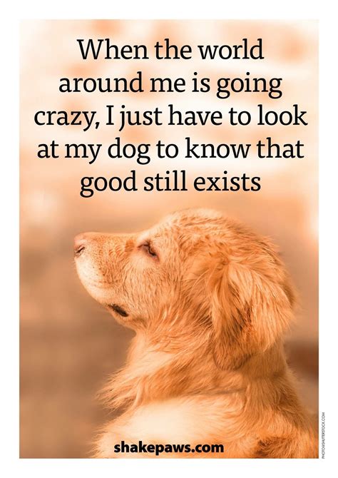 quotes about love dogs - Word Of Wisdom Mania