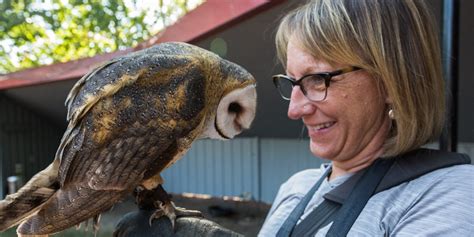 Alberta Birds Of Prey Coaldale Canada Conservation Center