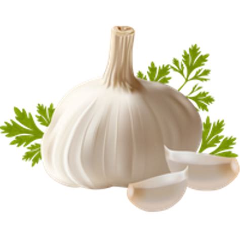 See more ideas about ginger, asian plants, png images. Garlic clipart parsley, Garlic parsley Transparent FREE ...