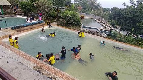 Salah satu kolam renang yang sedang popular adalah kolam renang pasir putih yang terletak di daerah depok. Kolam renang Ciherang Subang - YouTube
