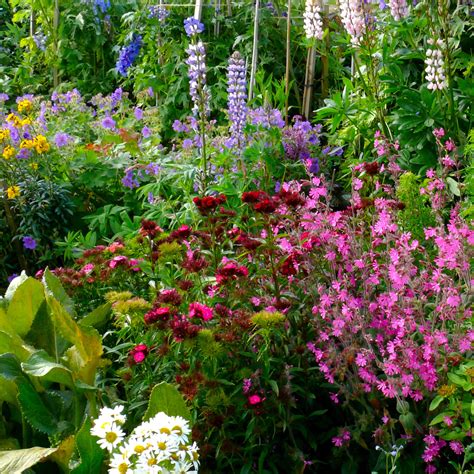 How To Create A Cottage Garden Help And Ideas Diy At Bandq