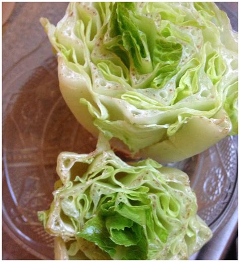 Growing Lettuce From Stumps Kitchen Science Experiment