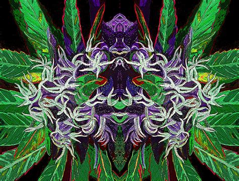 Psychedelic Cannabis Bud 2 Digital Art By Anita Toke Pixels