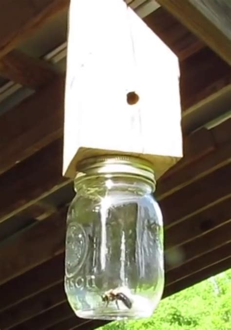 How To Make A Carpenter Bee Trap Using Mason Jar Picture Of Carpenter