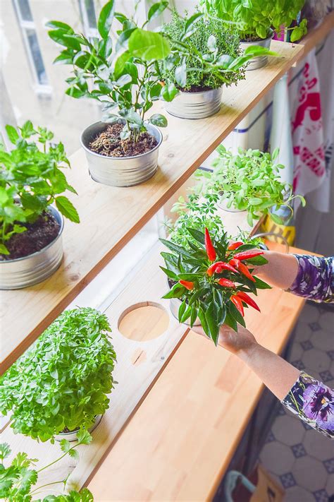 23 Diy Herb Garden Ideas To Consider Sharonsable