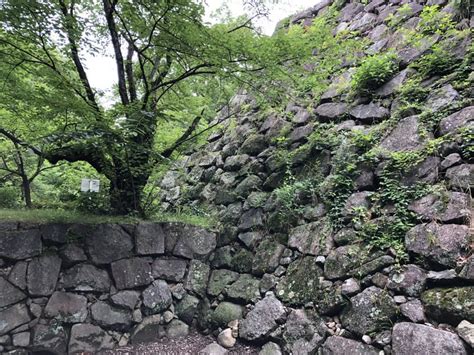 Volume 2, page 930, character 15. 津城(安濃津城)【続日本100名城】細野藤光が築き藤堂高虎が大 ...