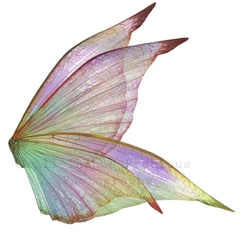 20 Fairy Wings Overlays Set 5 Digital Fairy Wing Fantasy Etsy