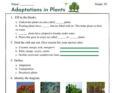 Adaptation In Plants Class 4 Worksheets A Comprehensive Guide