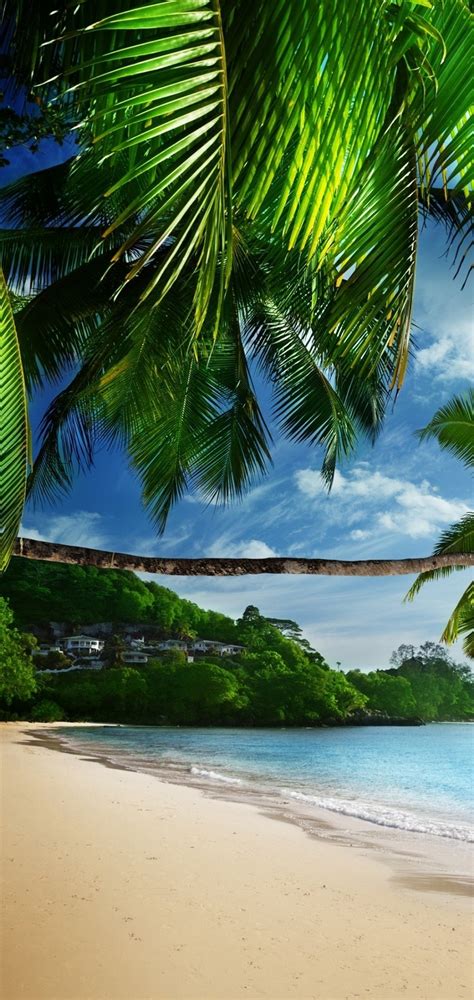 Tropical Beach Wallpaper 1080x2280