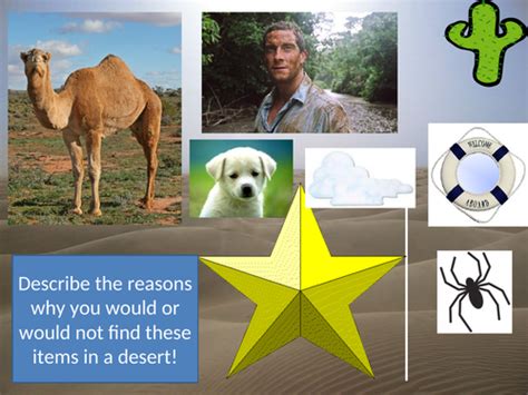 Extreme Environments Sow Ks3 Deserts And Mountains Teaching Resources