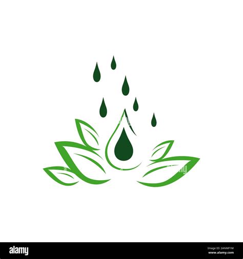 Natural Herb Oil Logo Design With Growing Plant And Oil Drop Symbol
