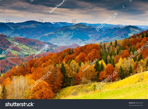 The Mountain Autumn Landscape With Colorful Forest Stock