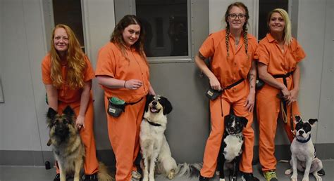 Forsyth County Jail Pups With Purpose United States