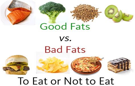 Good And Bad Fats In Your Food By Dr2b Thin