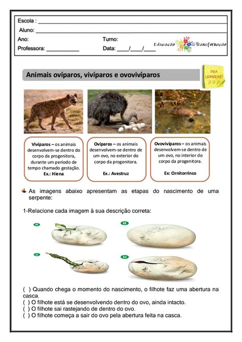 Atividades Sobre Animais Ovíparos Vivíparos E Ovovivíparos 3 Ano