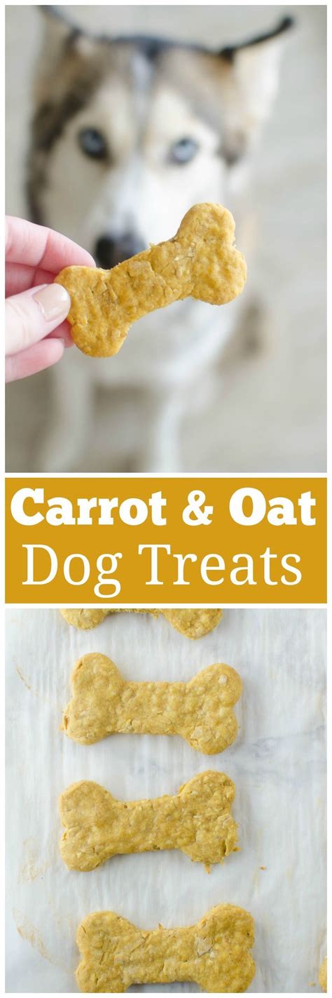 Carrot Peanut Butter And Oats Dog Treats Dog Food Recipes Diy Dog