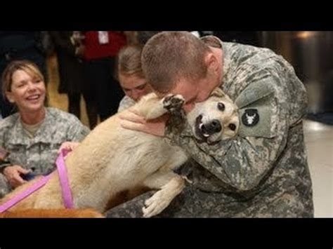 Als dieser soldat von einem einsatz nach hause kommt, erlebt er die rührendste begrüßung seines lebens. Hunde Begrüßung Soldaten Erstellung 2014 HD - YouTube