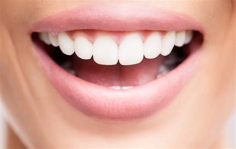 Kesehatan Gigi Dan Mulut Homecare24