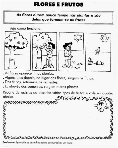 Atividade Sobre As Plantas 1 Ano